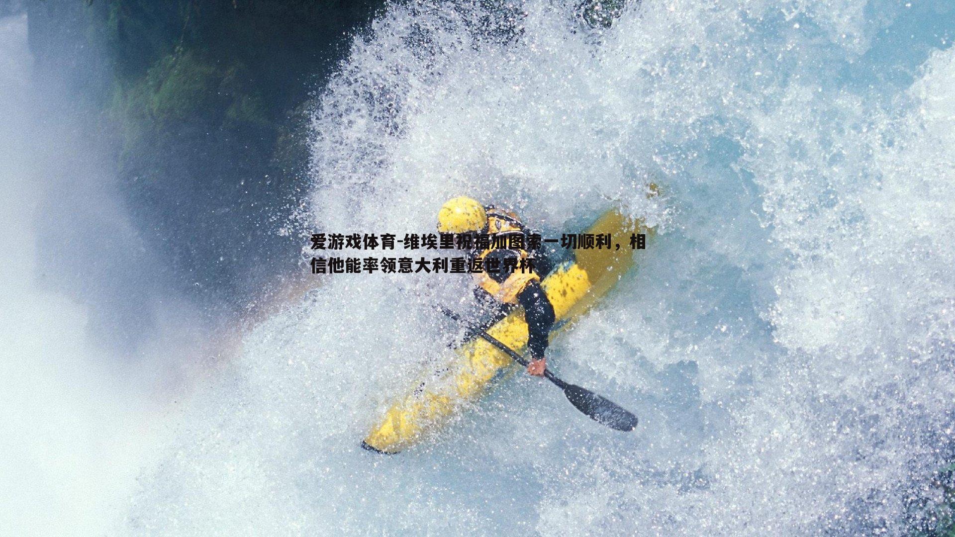 维埃里祝福加图索一切顺利，相信他能率领意大利重返世界杯